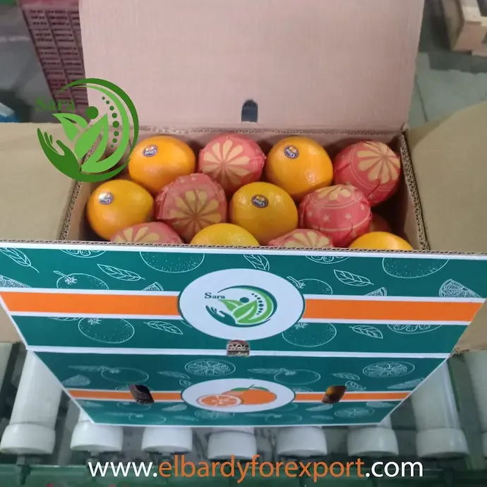 spcial orange for export